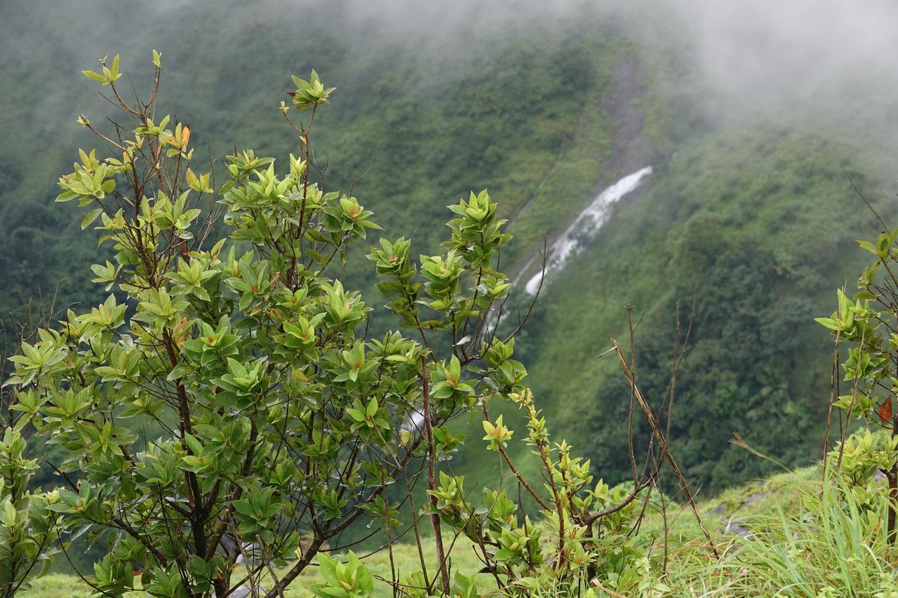 Orion County Hotel Vagamon Eksteriør billede